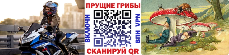 Галлюциногенные грибы Psilocybine cubensis  ОМГ ОМГ онион  Кушва  цена наркотик 
